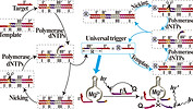 images_large_ac-2013-013094_0007.jpeg