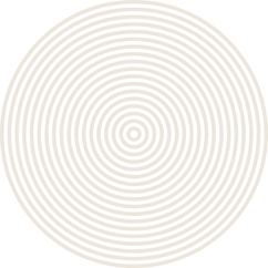 Trans Gold Circle.png