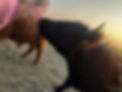 375835982_259757803681438_3693573482483425922_n.jpeg