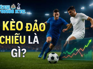 Keo Dao Chieu FUN88 Tong Hop Kien Thuc Co Ban