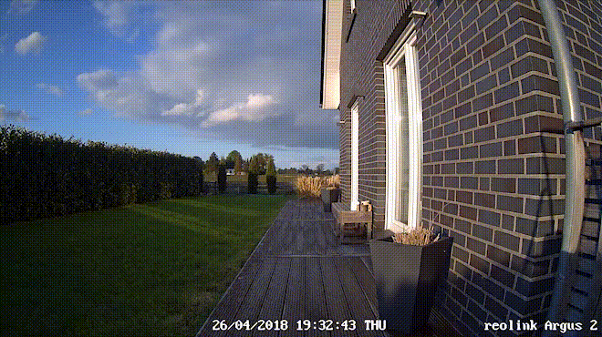 argus-2-Day-2.gif