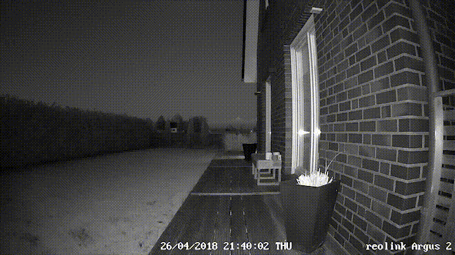 argus-2-Night-2.gif