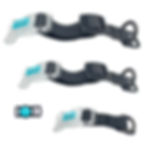 ADJUSTABLE DOG COLLAR ADAPTER -   COMBO Mix All Sizes