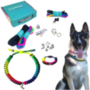 PARACORD ID COLLAR DIY KIT- All sizes, Rainbow Collection