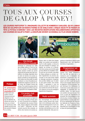 REF nov 2019