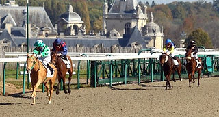 une-poneys-2-620x331