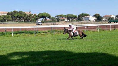 LE SUD-EST DÉMARRE AU GALOP !