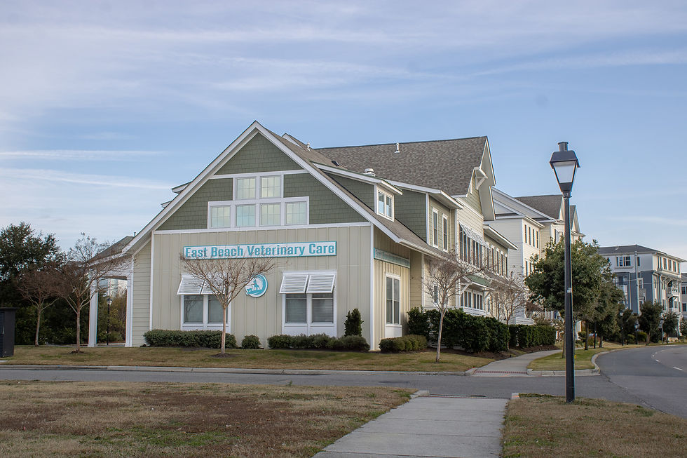 East Beach Veterinary Care