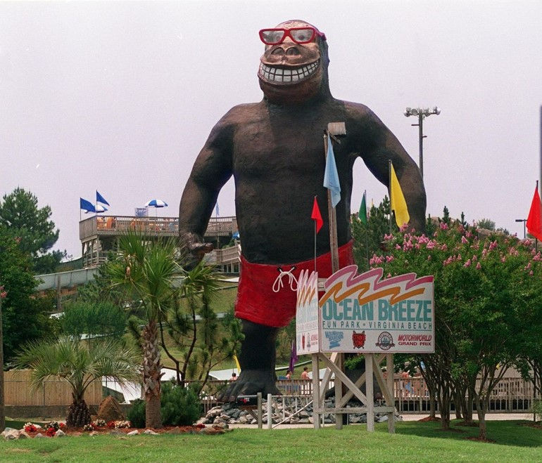 Ocean Breeze Gorilla