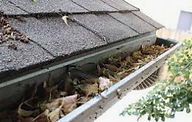 clogged gutter.jpg