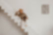 DSC09483.jpg