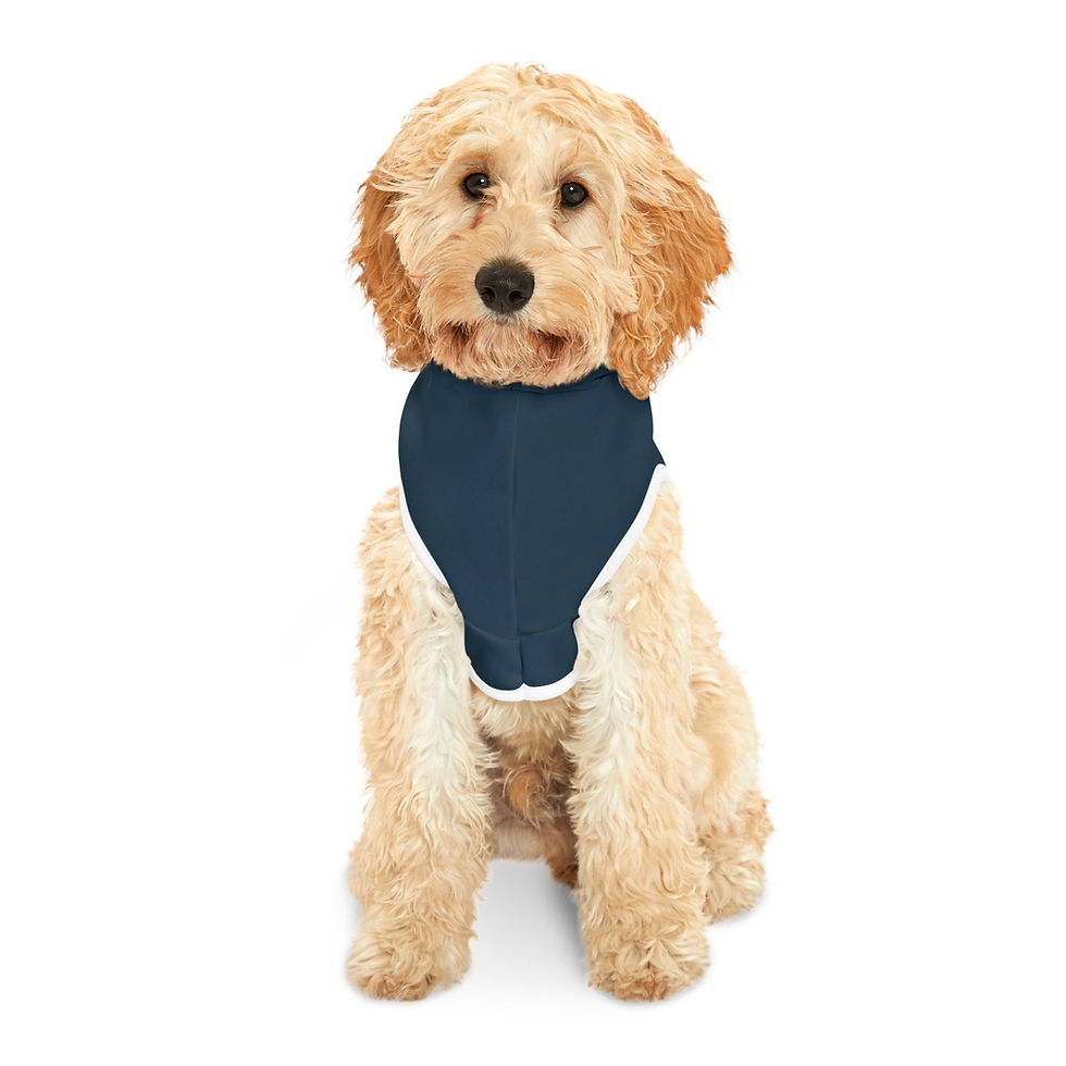 Thumbnail: Pet Hoodie