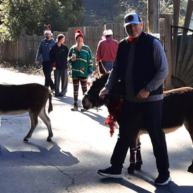 Reindeer Run - race participants