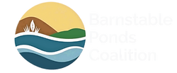 logo-white letters_edited_edited.png