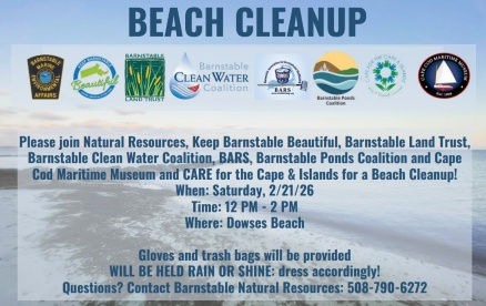 Kalmus Beach Cleanup2.jpg