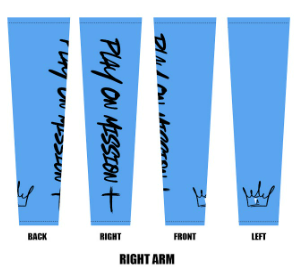 (Pair) Arm Sleeve Blue