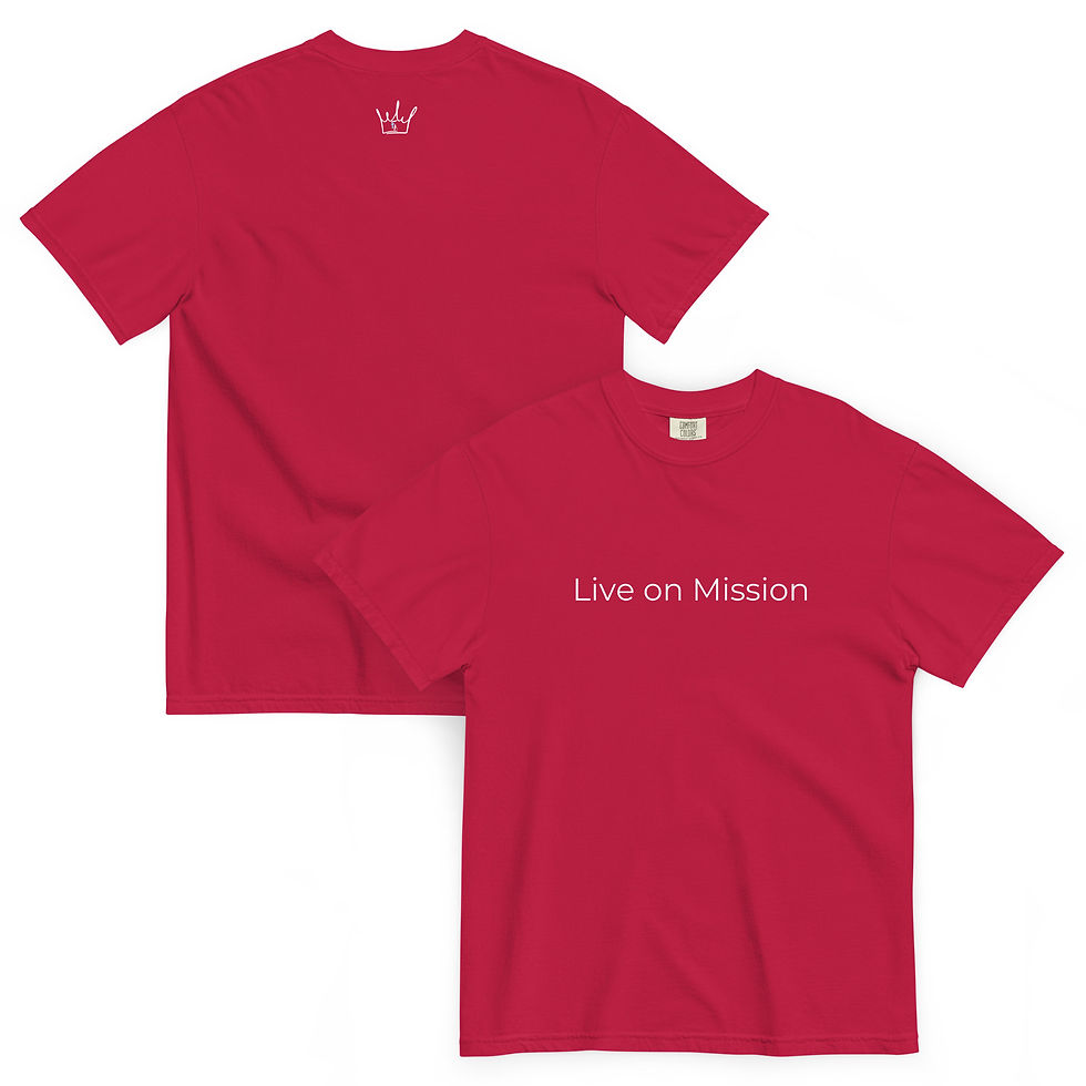 Live on Mission comfort tee