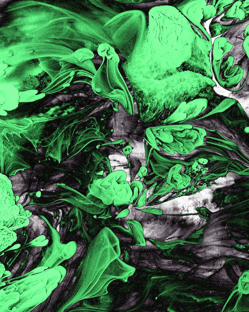 Thumbnail: "Slimeee" Green & Black Petri Dish Abstract Print