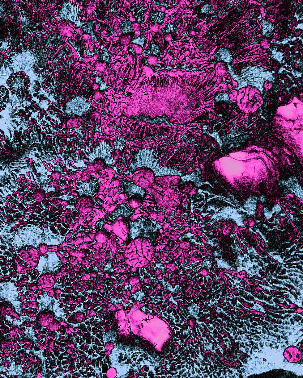 Thumbnail: "Petri Dish" Magenta & Blue 24x36" Inch Abstract 1/1 Print
