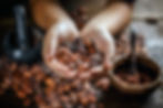 Aromatic-cocoa-beans.jpeg