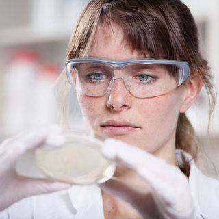 Biotech Breakthroughs in Cellular Agriculture