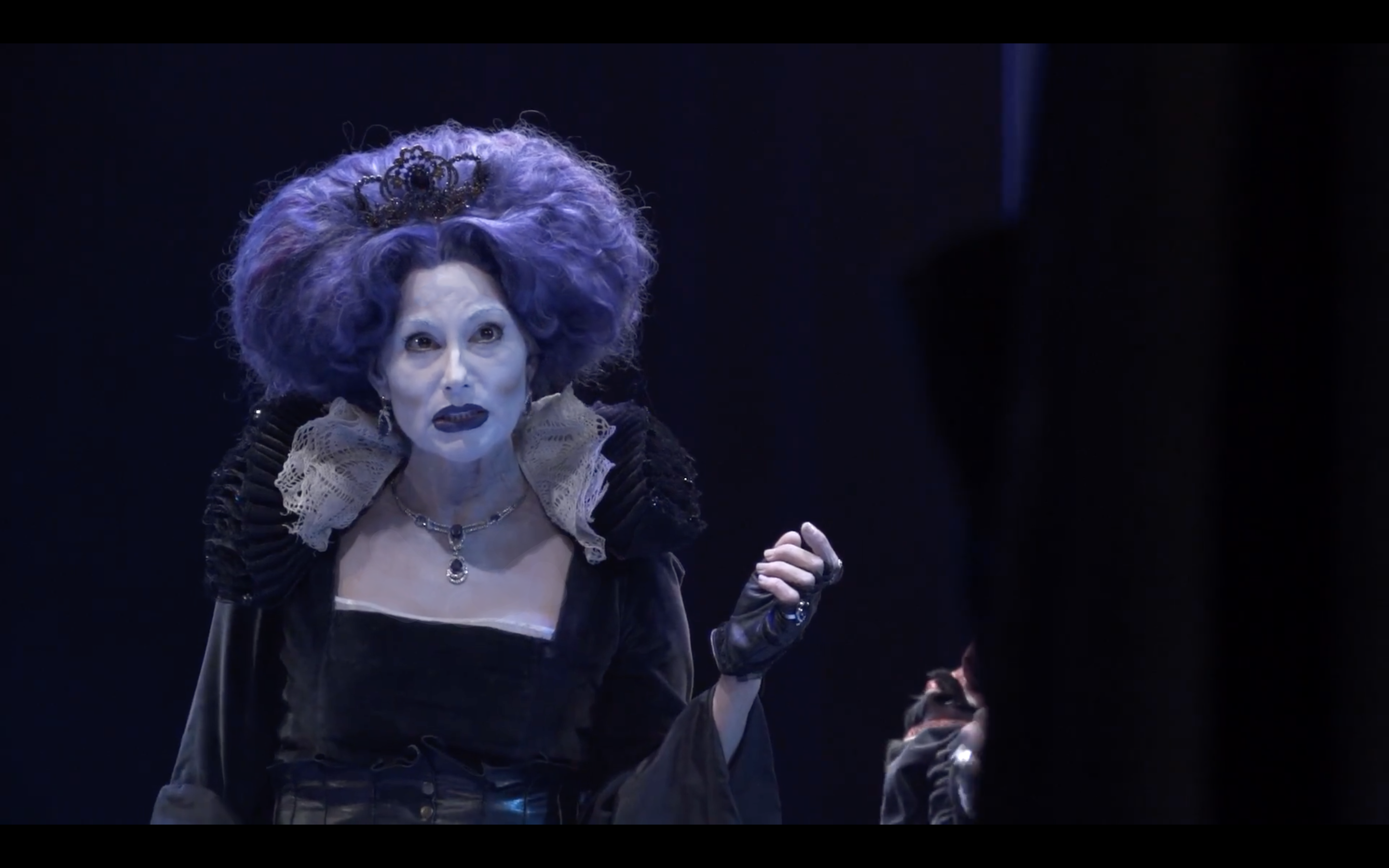 Wig maintenance detail