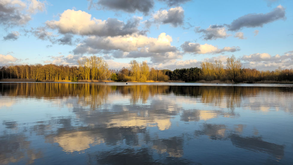 Fisheries Reflections