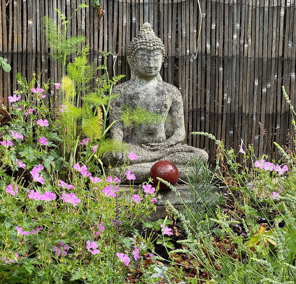 Buddhist Retreat Day with Damien