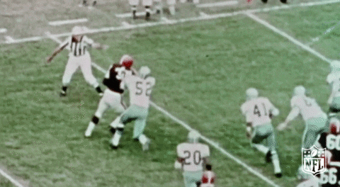 Cleveland Browns Football GIF by NFL.gif