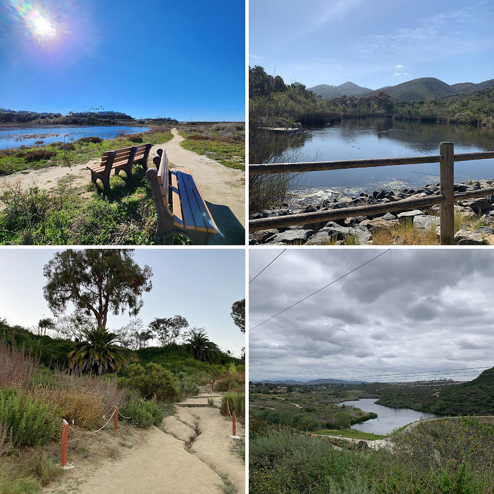 Collage of dog-friendly hiking trails in North County San Diego, featuring scenic views from Discovery Lake in San Marcos, San Elijo Lagoon, Lake Calavera in Carlsbad, and Buena Vista Park.