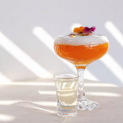 beach house marbella restaurant cocktails drinks wine
