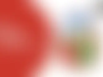 Top MBA Colleges in Italy with Strong Placement Records