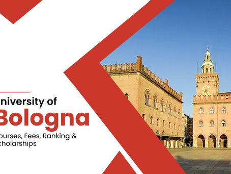 Why Choose University of Bologna – A Smart Step for Your Global Education