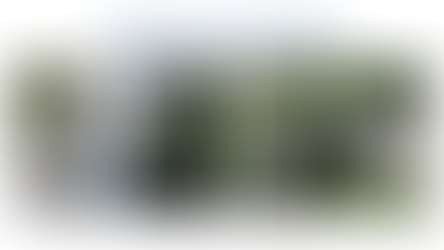 Progetto "Montagna Cilentalburni. Viaggiatori alla ricerca della conoscenza"