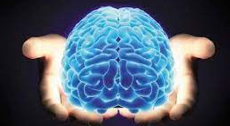 PÓS-DOUTORADO EM NEUROCIÊNCIA..jfif