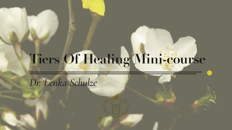 white blooming flowers with dark background - tiers of of healing mini course with dr. lenka schulze