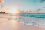 tropical beach sunrise or sunset over ocean