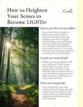 Guidebook page image with text and image showing forest of trees with sun lighting a pathway