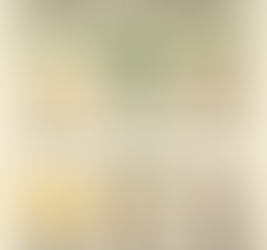 Prebiotic Foods for a Stronger Immune System