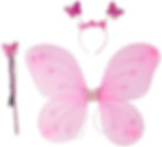 butterfly wings