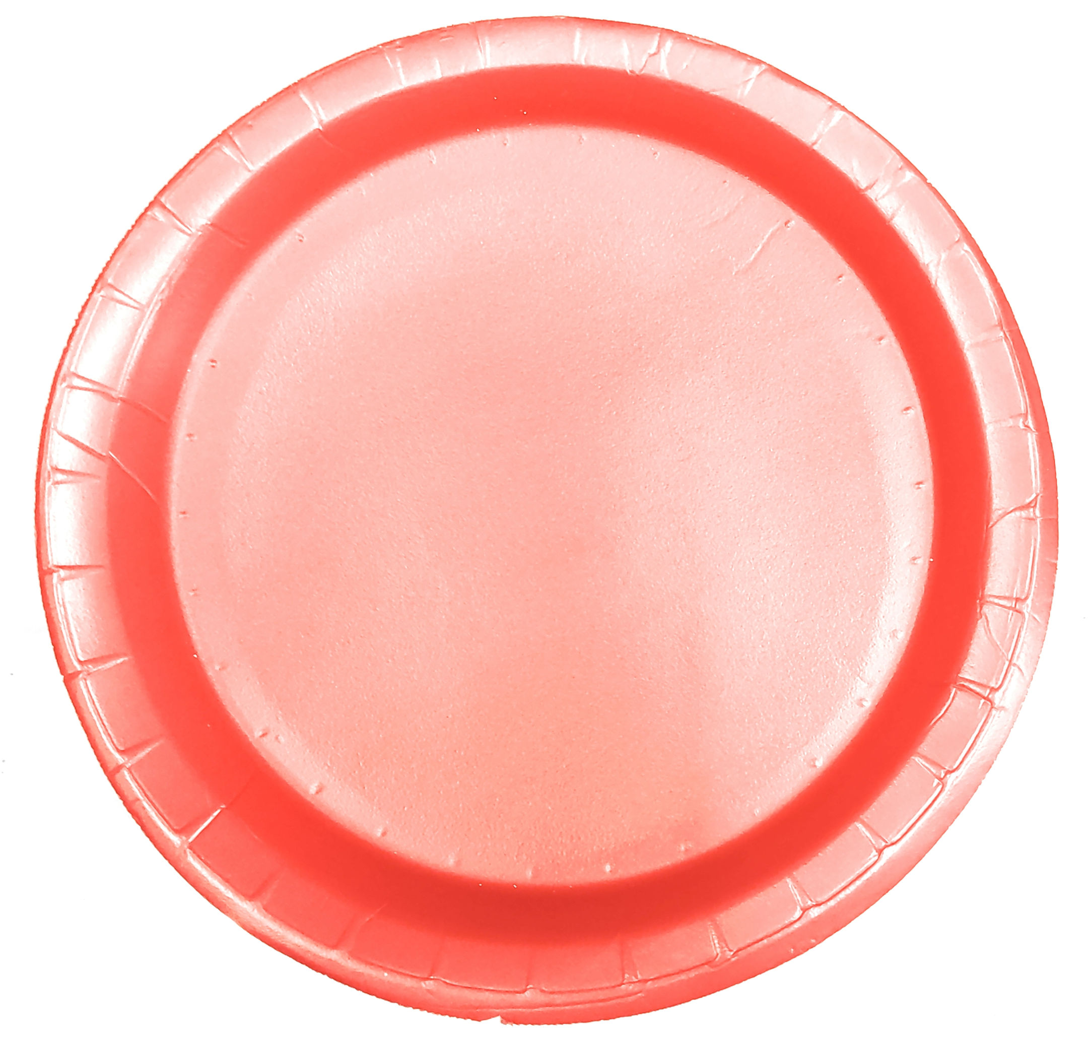 Disposable Biodegradable Thermocol Plate