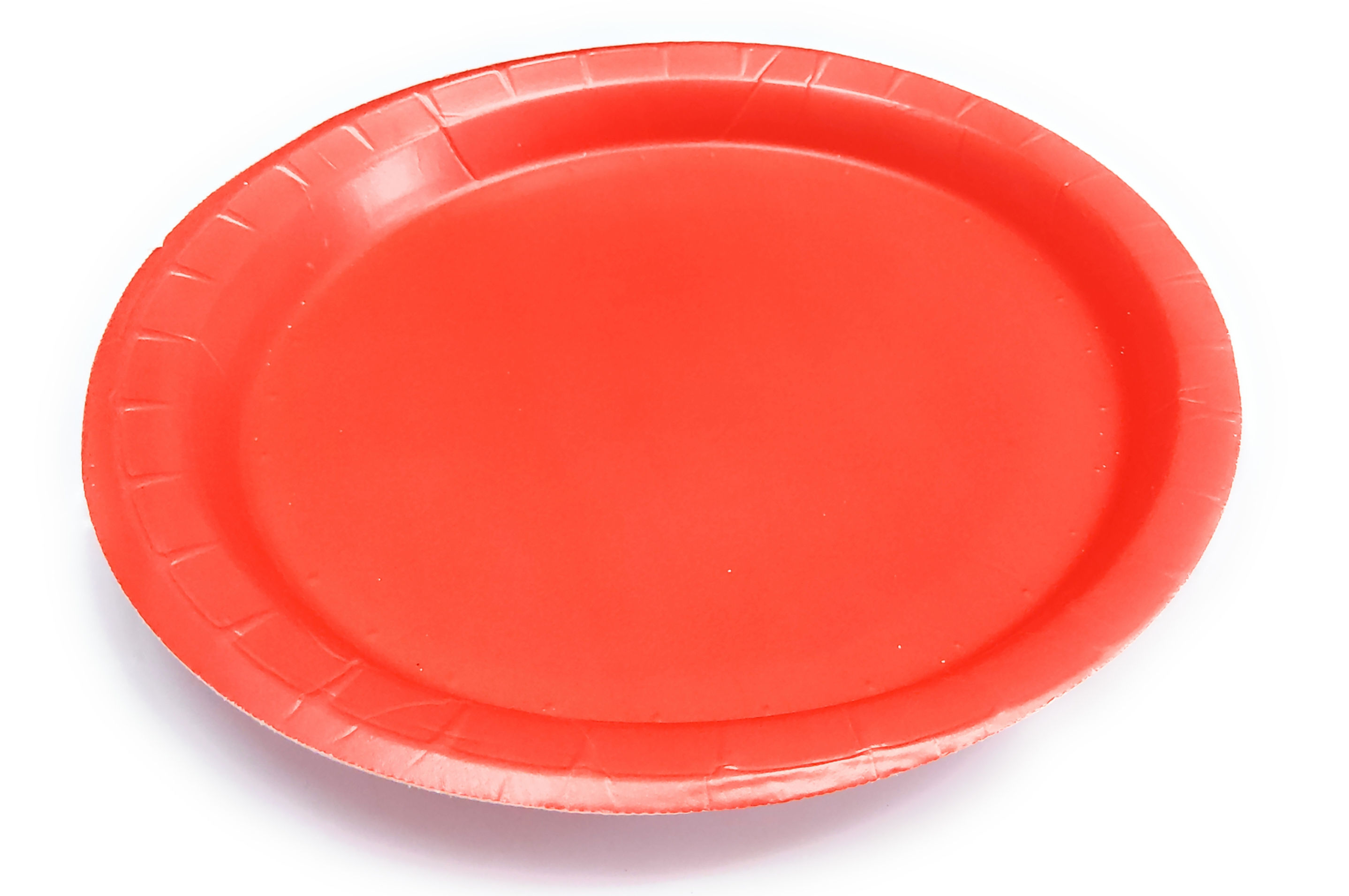 Disposable Biodegradable Thermocol Plate