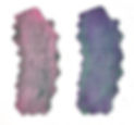 alt color flood_edited.jpg