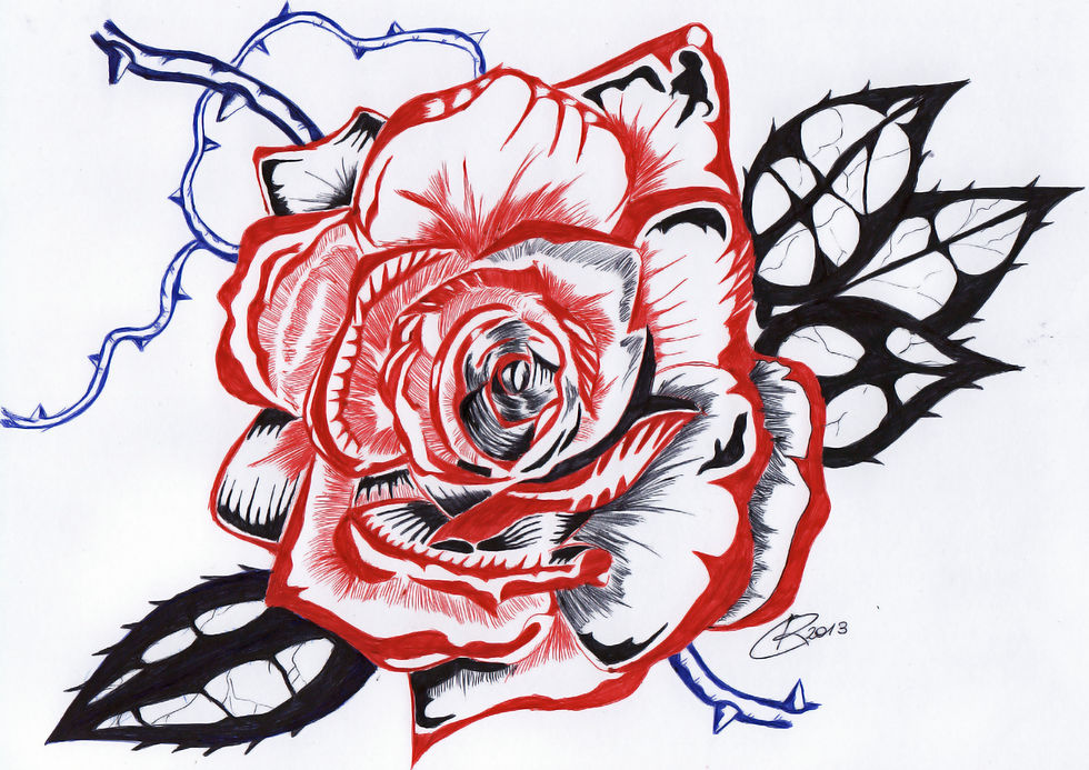 Rosa.jpg