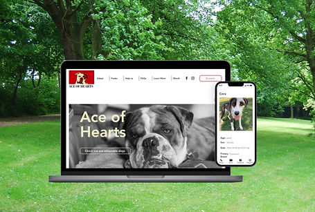 Untitled design (4)_edited.jpg