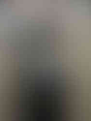 preparing to propose at Shinjuku Gyoen under sakura trees.