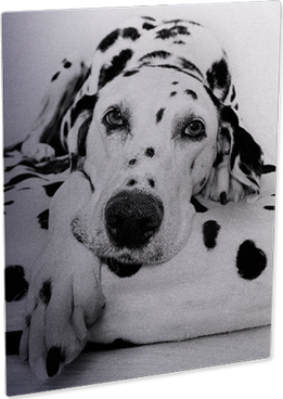 FOTOPANELES