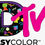 Miniatura: EASYCOLOR DTV 11x17" VINIL TINTA NORMAL PARA TEXTILES SISER
