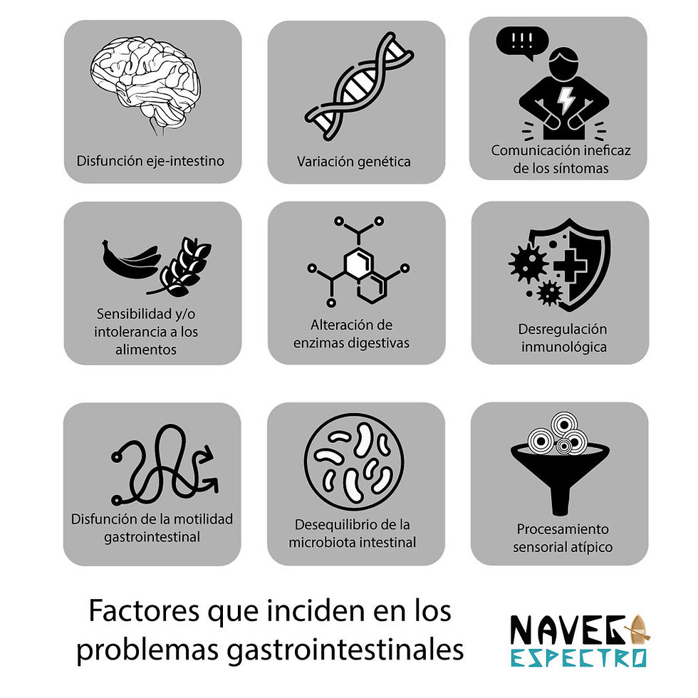 Factores que inciden en los problemas gastrointestinales