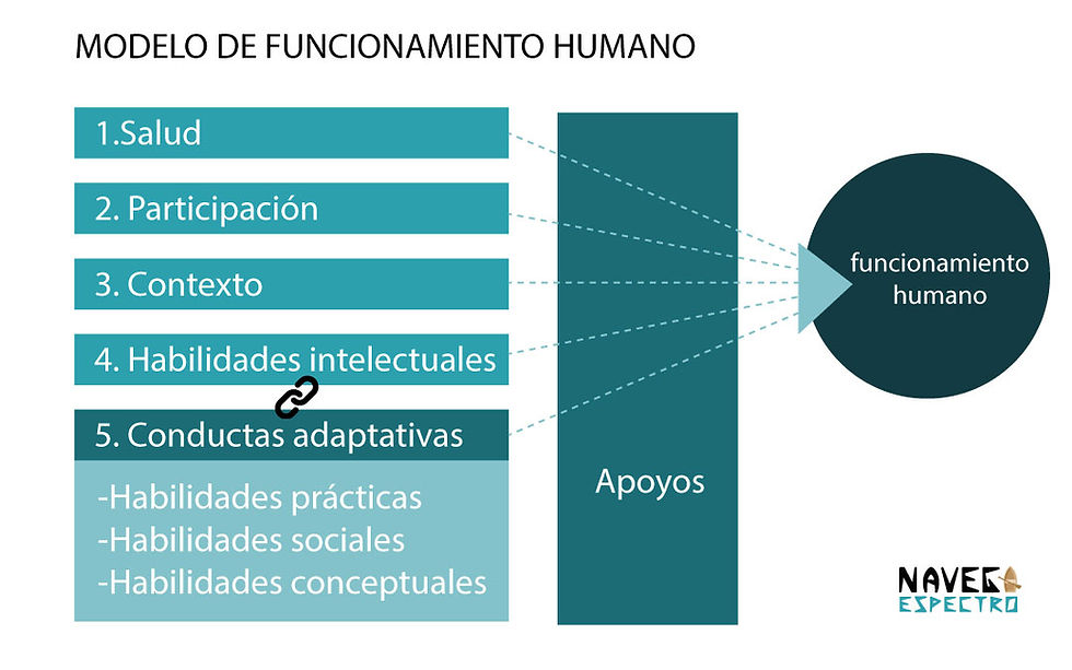 Modelo de funcionamiento humano